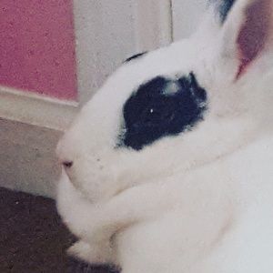 Meet your Posher, Natalia